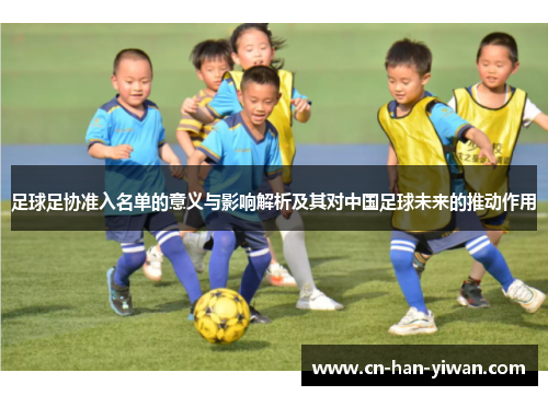 足球足协准入名单的意义与影响解析及其对中国足球未来的推动作用 足球足协准入名单的意义与影响解析及其对中国足球未来的推动作用