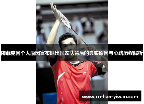 陶菲克因个人原因宣布退出国家队背后的真实原因与心路历程解析