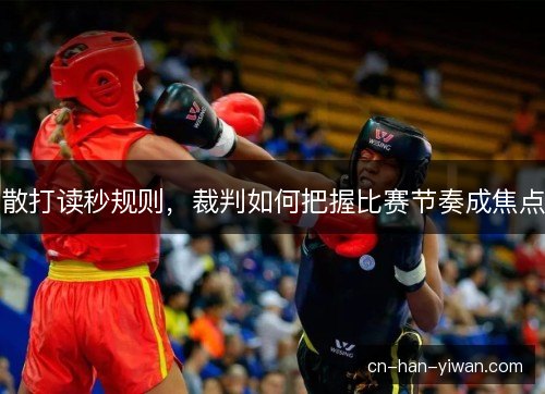 散打读秒规则，裁判如何把握比赛节奏成焦点